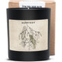 Duftkerze - HAPPYSOY® Art Collection by Steffi Bauer "Mistelzweig" - Happysoy®
